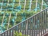 預(yù)防不銹鋼護(hù)欄腐蝕的方法有哪些？